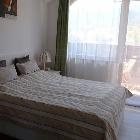 Mountainview Apartment Ski, Spa & Thermal Μπάνσκο Εξωτερικό φωτογραφία